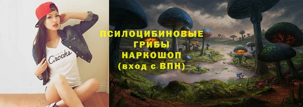 сатива Костерёво