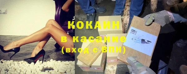 сатива Костерёво