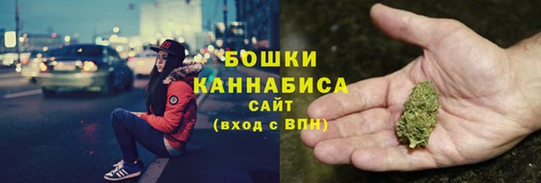 сатива Костерёво