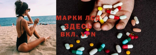 сатива Костерёво