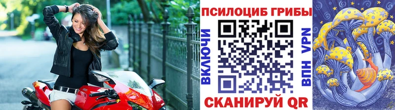 Псилоцибиновые грибы GOLDEN TEACHER  omg маркетплейс  Чапаевск 