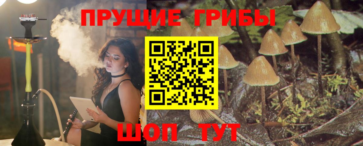 Галлюциногенные грибы GOLDEN TEACHER  Вход с VPN  Чапаевск 
